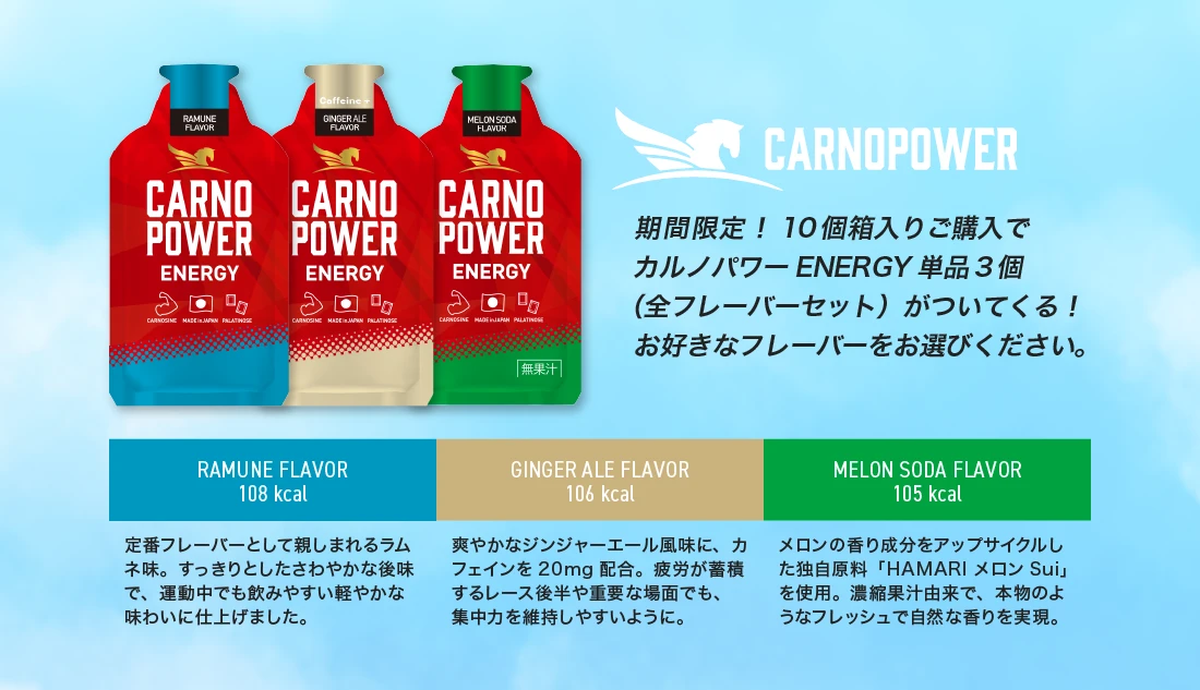期間限定！10個入り箱ご購入でカルノパワーENERGY単品3個
			（全フレーバーセット）がついてくる！お好きなフレーバーをお選びください。