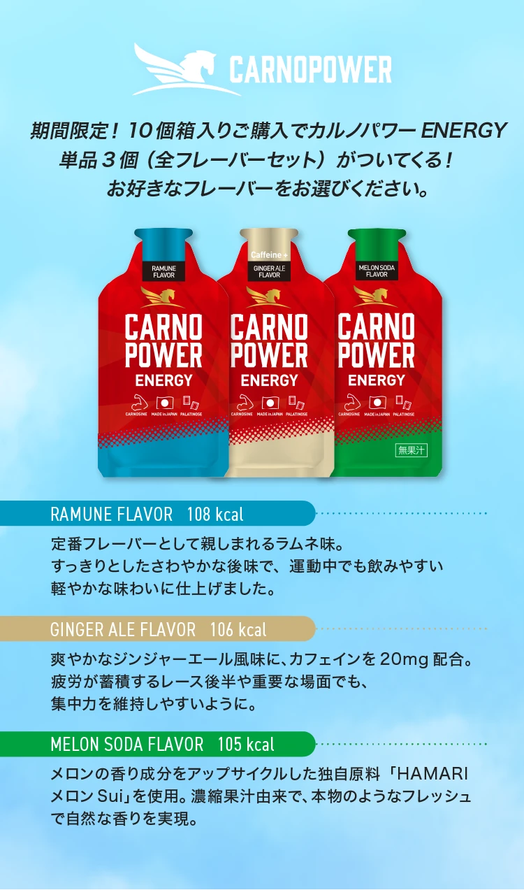 期間限定！10個入り箱ご購入でカルノパワーENERGY単品3個
			（全フレーバーセット）がついてくる！お好きなフレーバーをお選びください。
