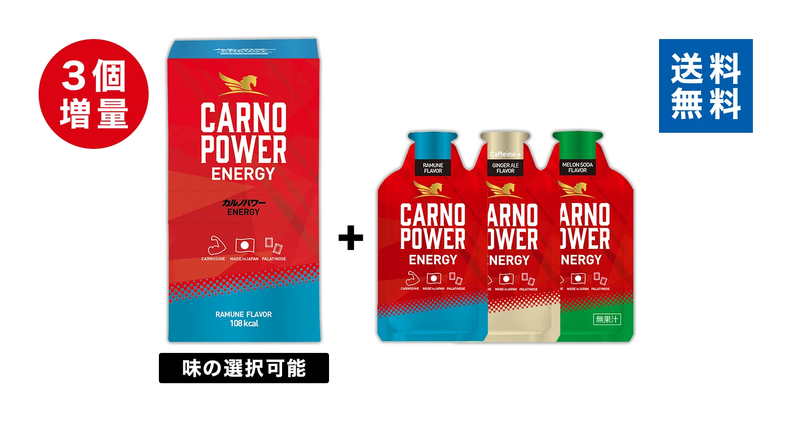 カルノパワーENERGY（10個箱入）