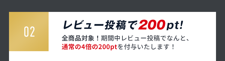 レビュー投稿で200pt!