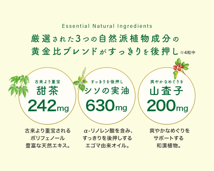 厳選された自然派原材料成分解説