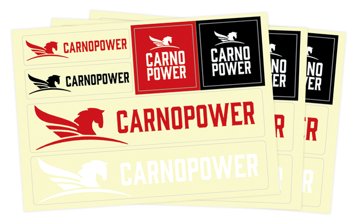 カルノパワーSTICKER