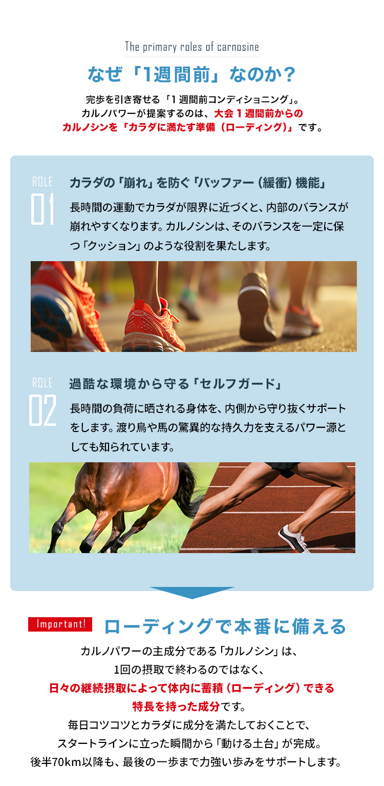 大会前日のカルノパワー摂取計画と体調管理スケジュール