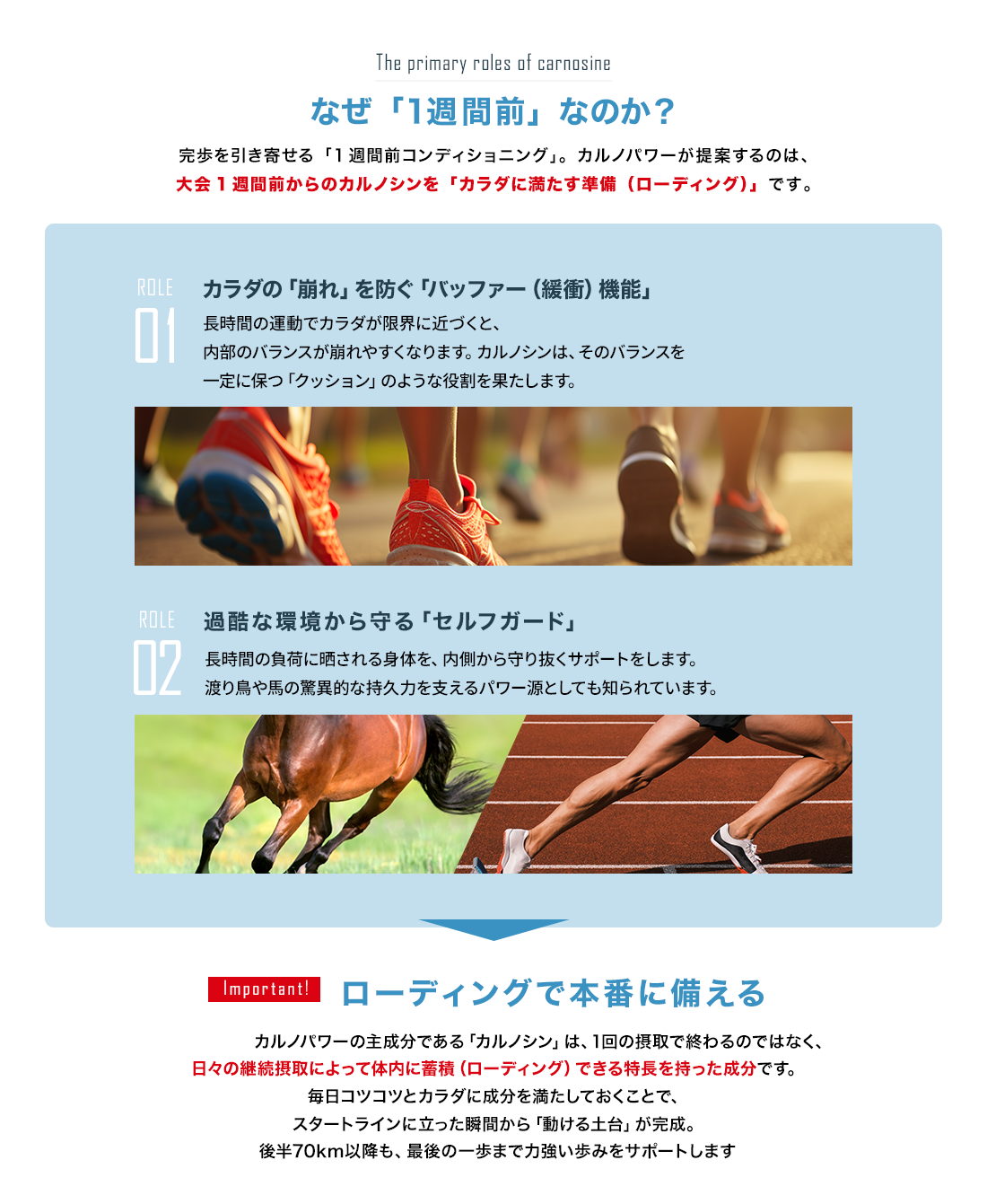 大会前日のカルノパワー摂取計画と体調管理スケジュール