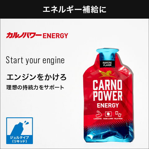 カルノパワーENERGY