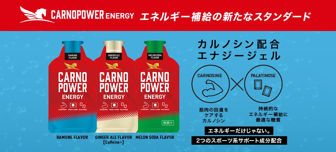 エネルギー補給の新常識カルノパワーENERGY