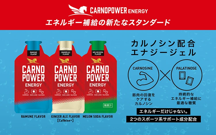 エネルギー補給の新常識カルノパワーENERGY