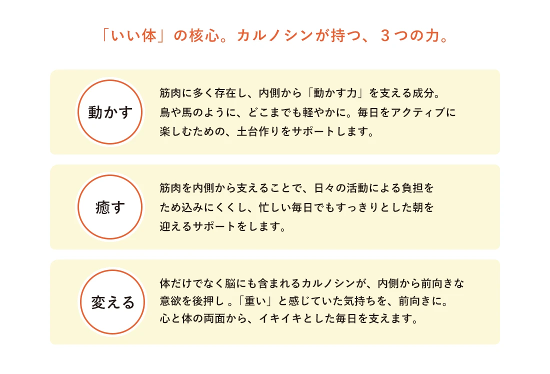 「いい体」の秘密　カルノシンが持つ３つの力