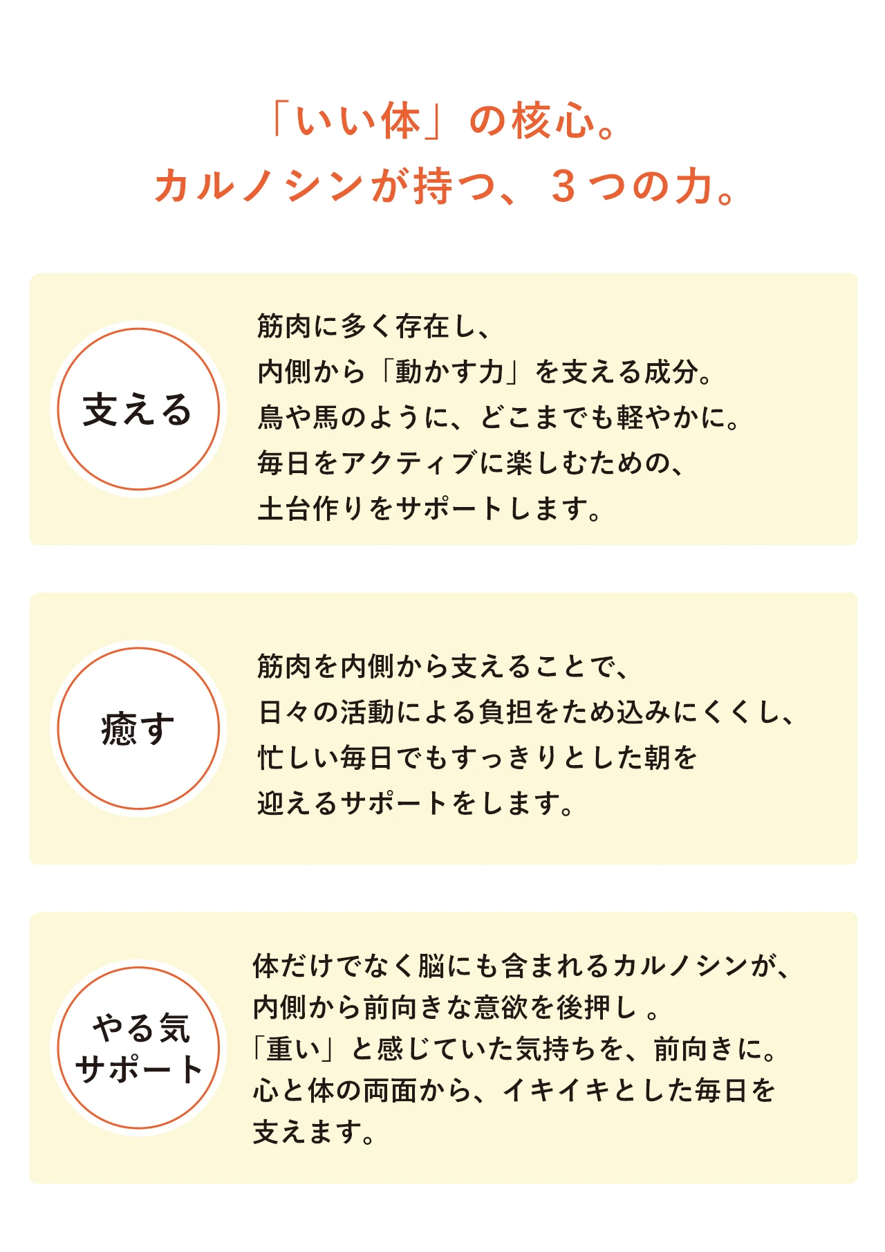 「いい体」の秘密　カルノシンが持つ３つの力