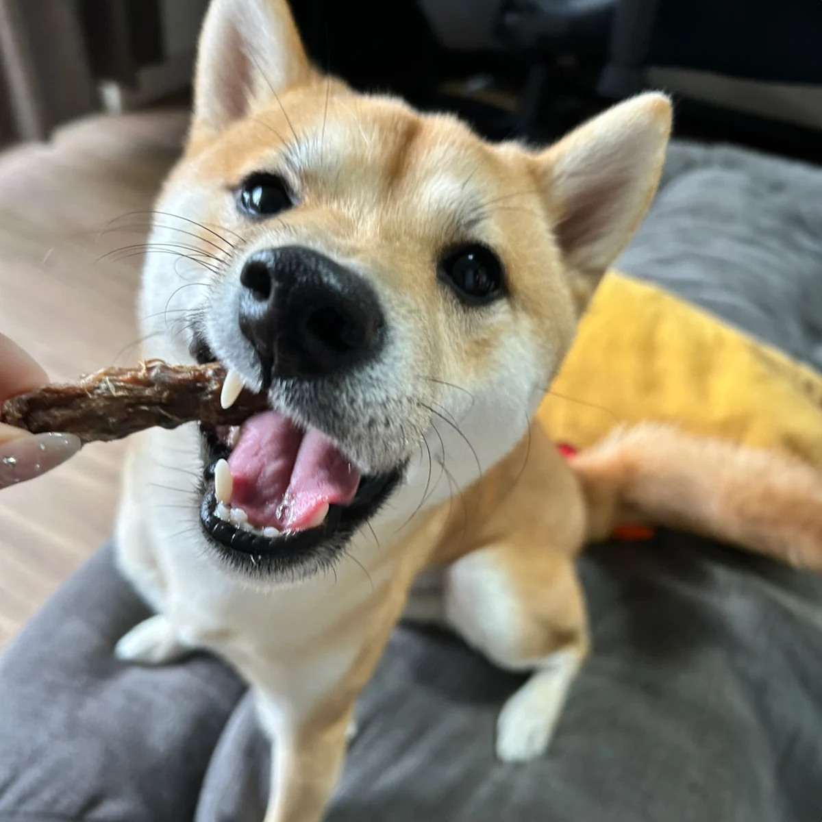 鶏ネック イメージ2