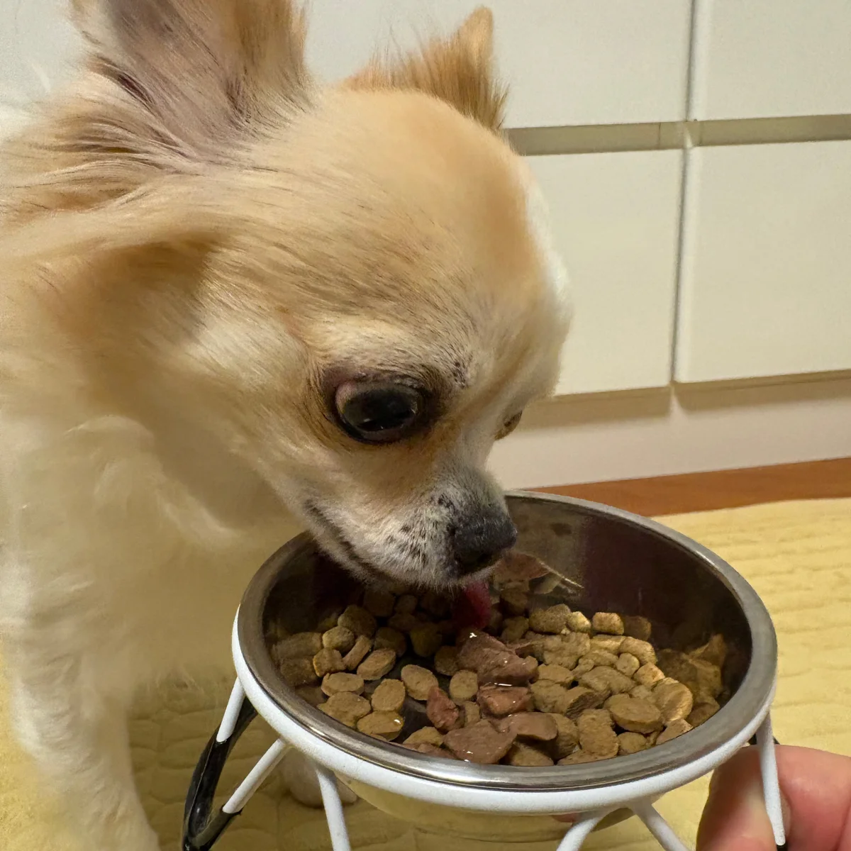 レバーやわらか煮 イメージ3
