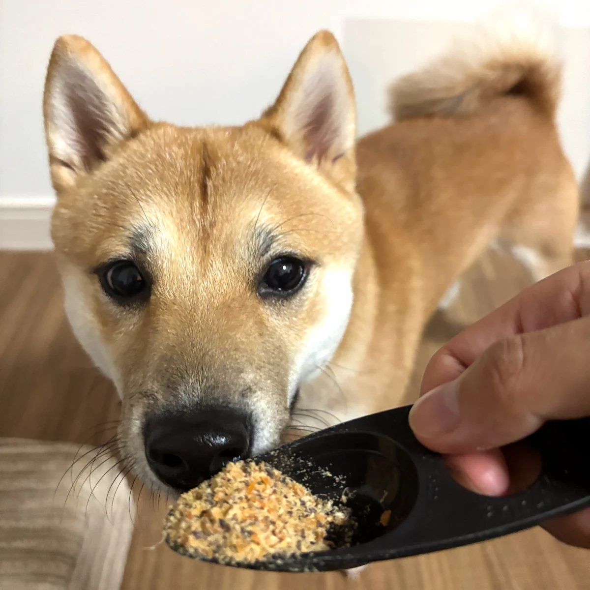 ささみとレバーふりかけ イメージ2