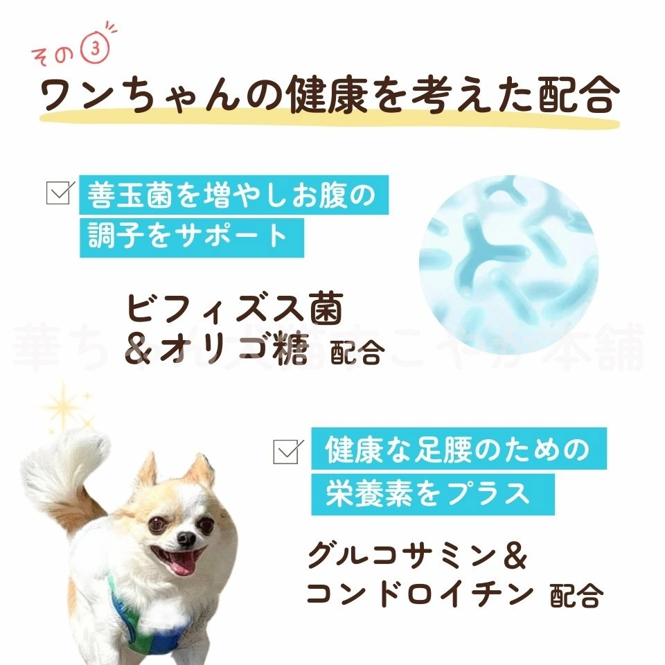 お試しフードセット 商品画像4