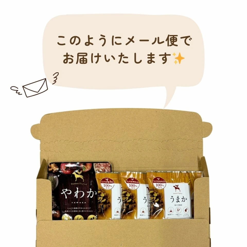 お試しフードセット 商品画像5