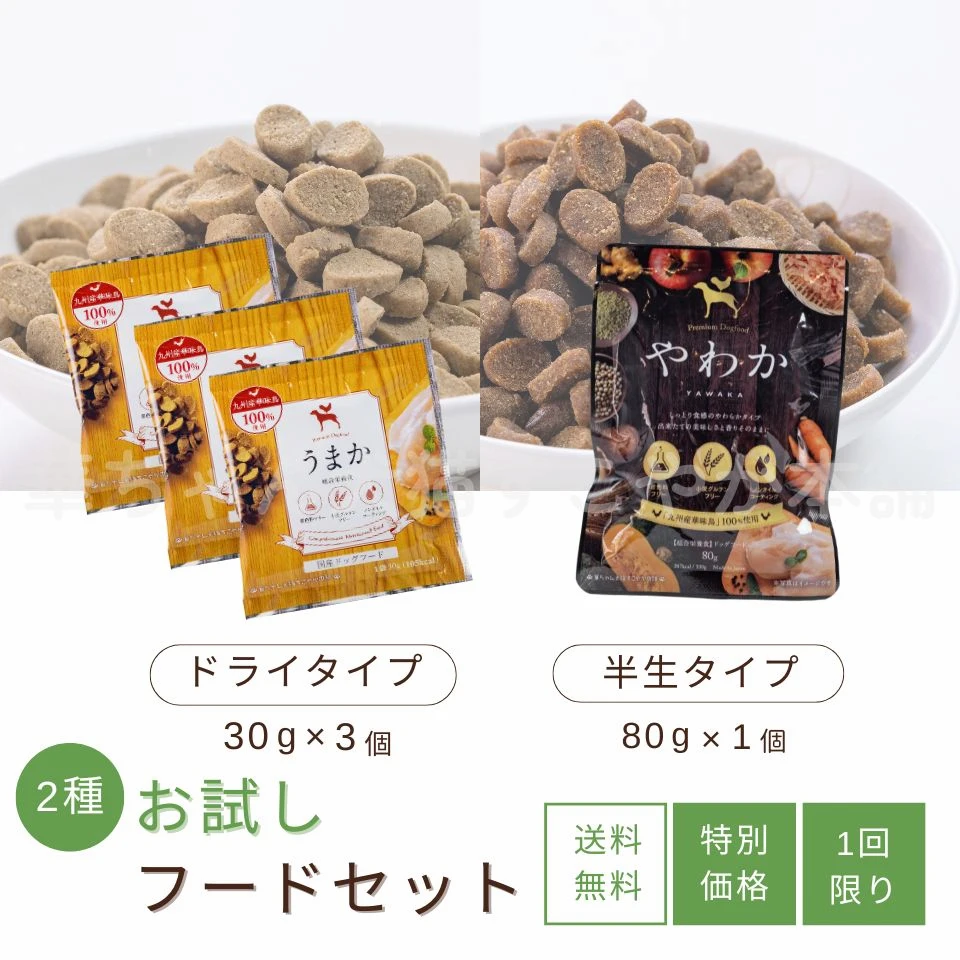 お試しフードセットの特徴1