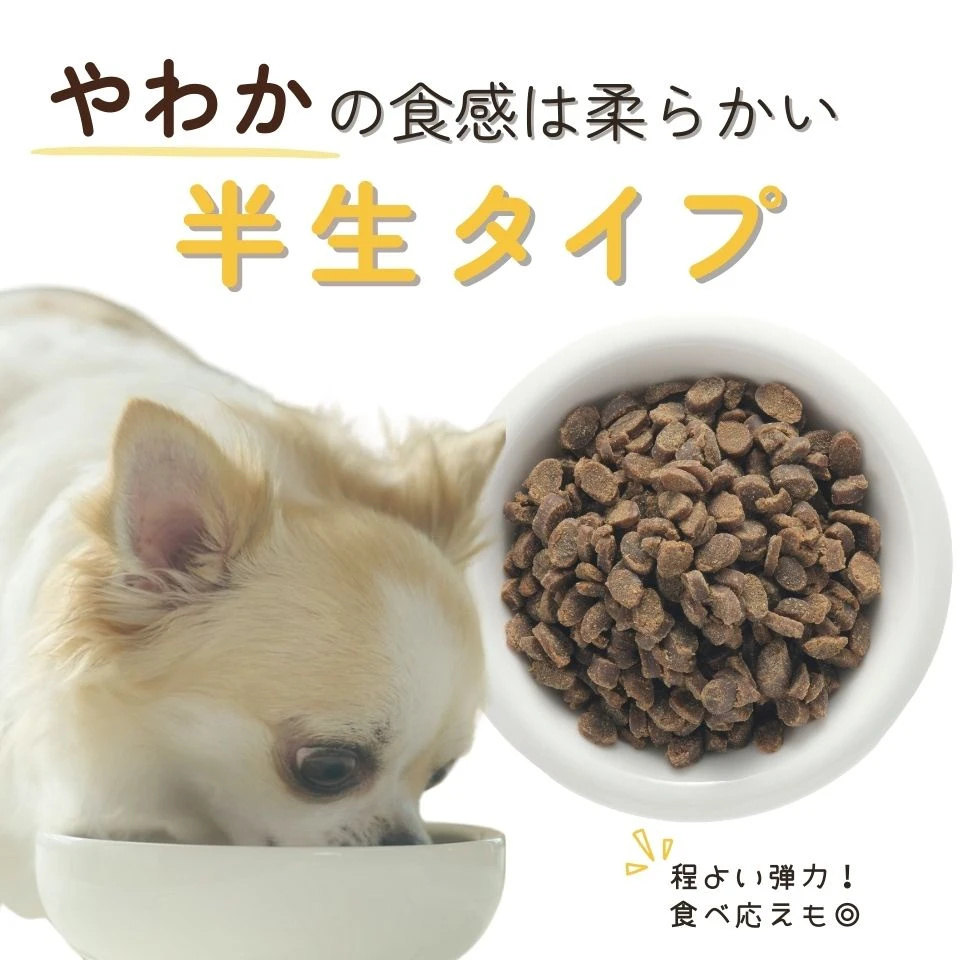 お試しフードセットの特徴10