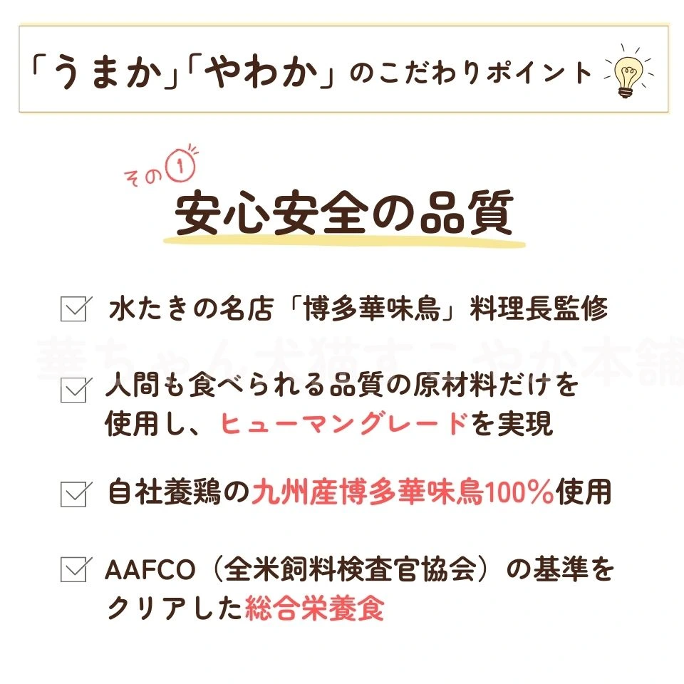 お試しフードセットの特徴2