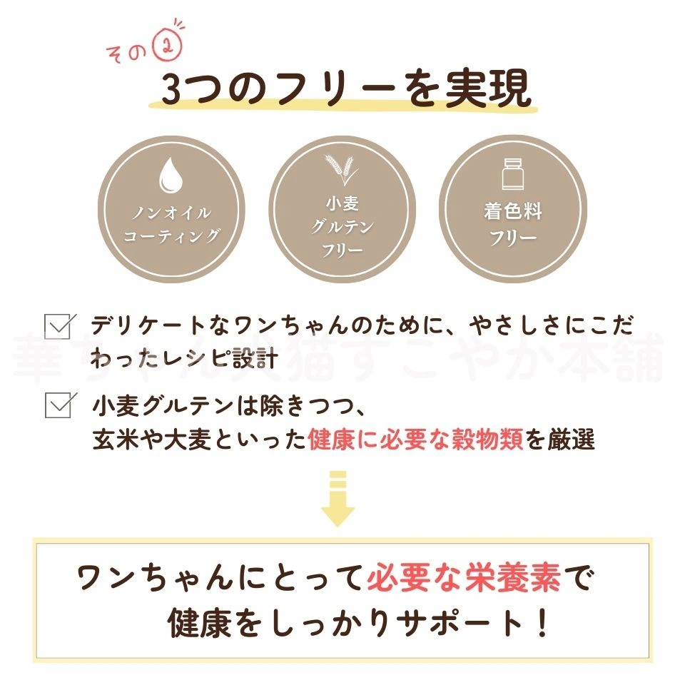お試しフードセットの特徴3