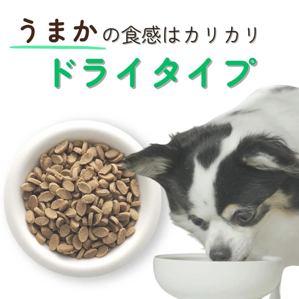 お試しフードセットの特徴9