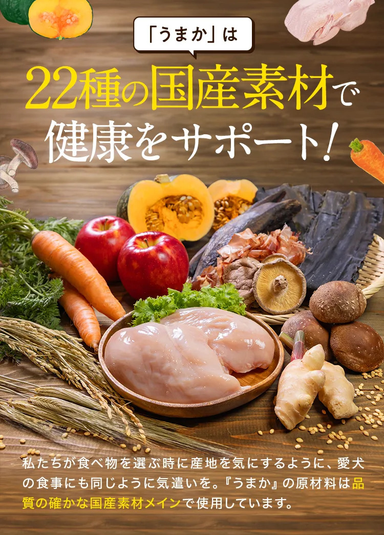 うまか（300g）の特徴14
