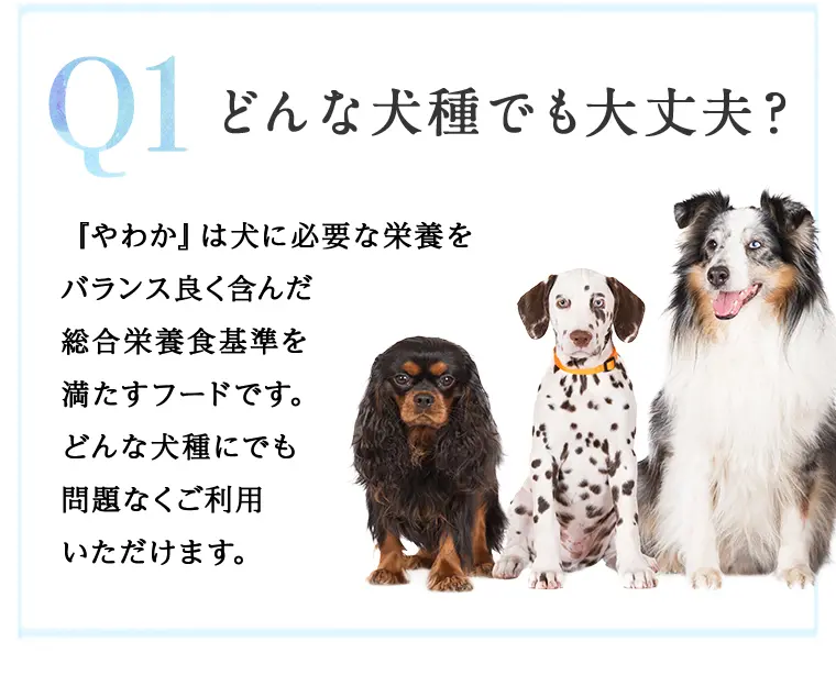 やわか（80g）の特徴16