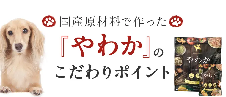 やわかの特徴8