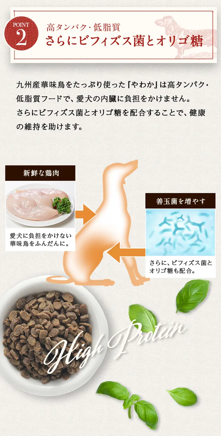 やわかの特徴10