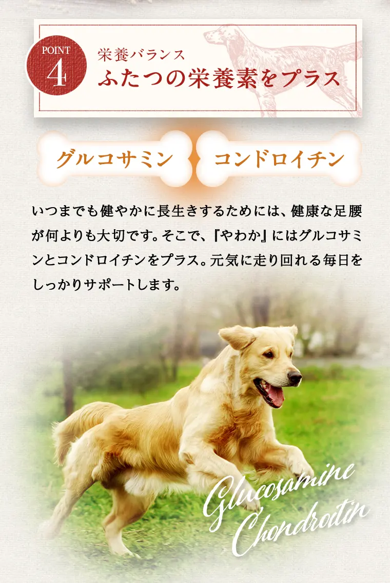 やわかの特徴12