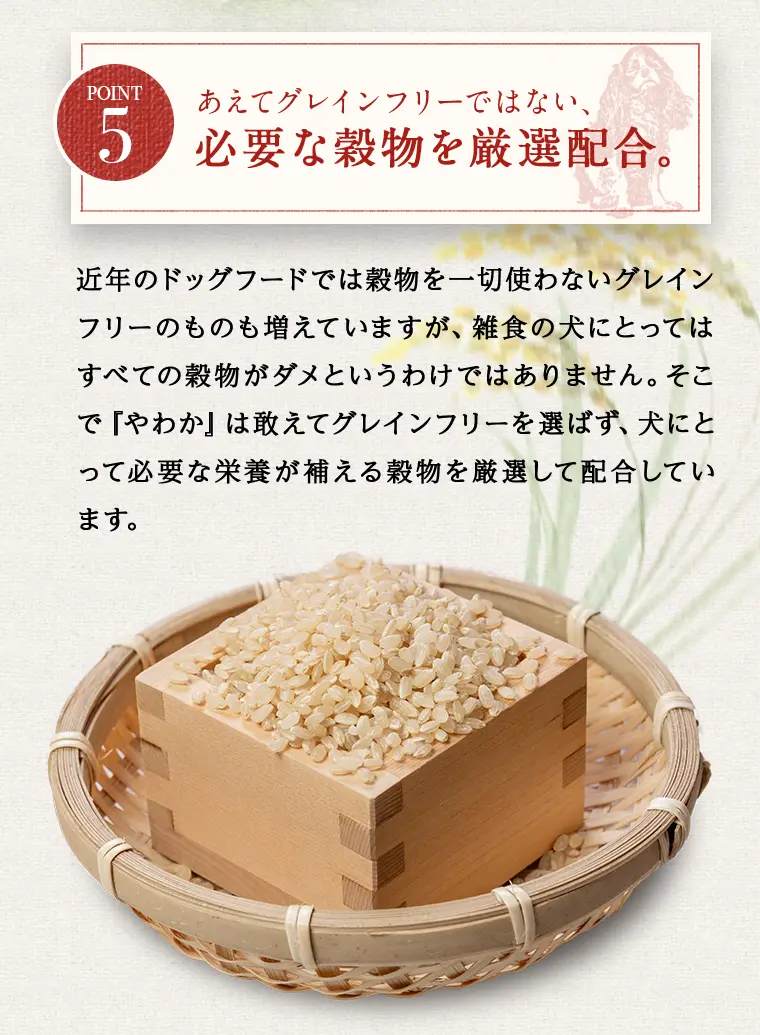 やわかの特徴13