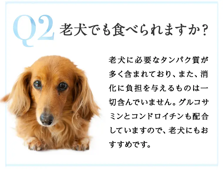 やわかの特徴17