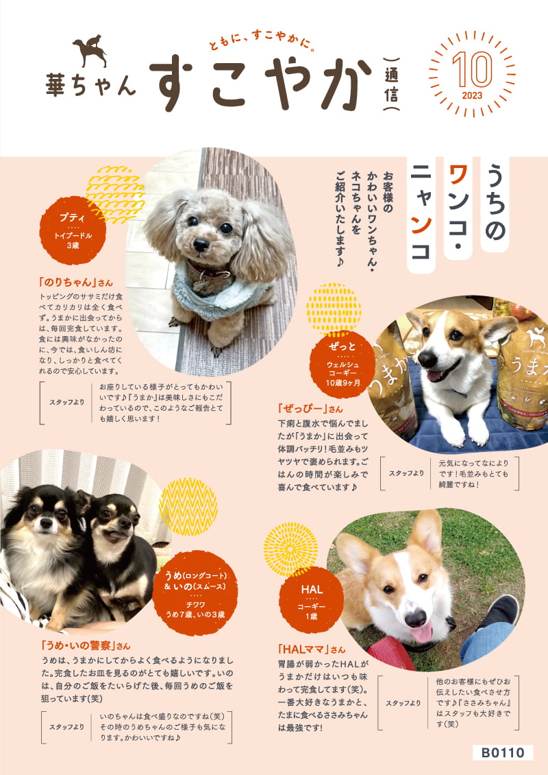 会報誌2023年10月号