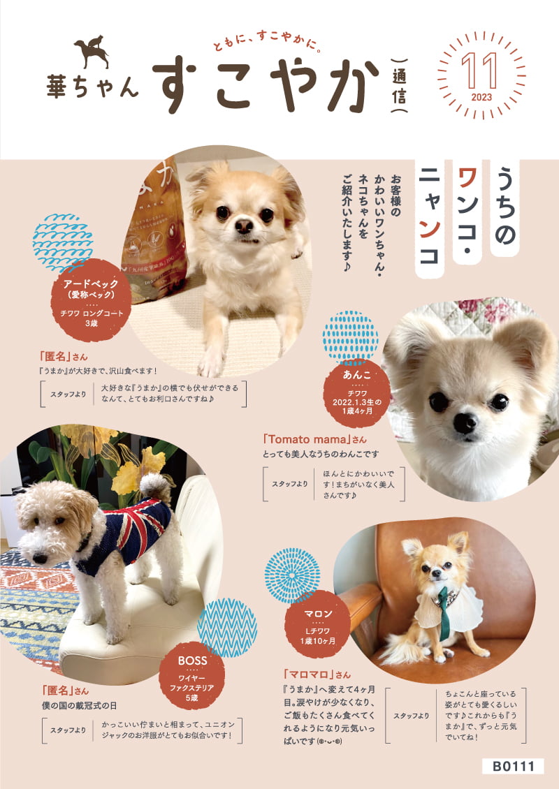 会報誌2023年11月号