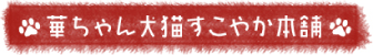 華ちゃん犬猫すこやか本舗