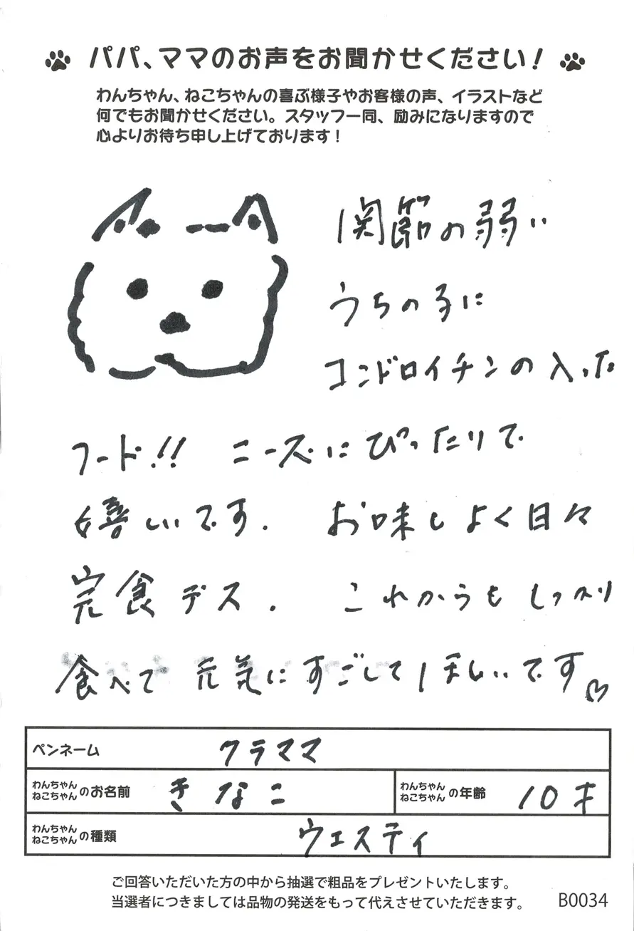 お客様の声17
