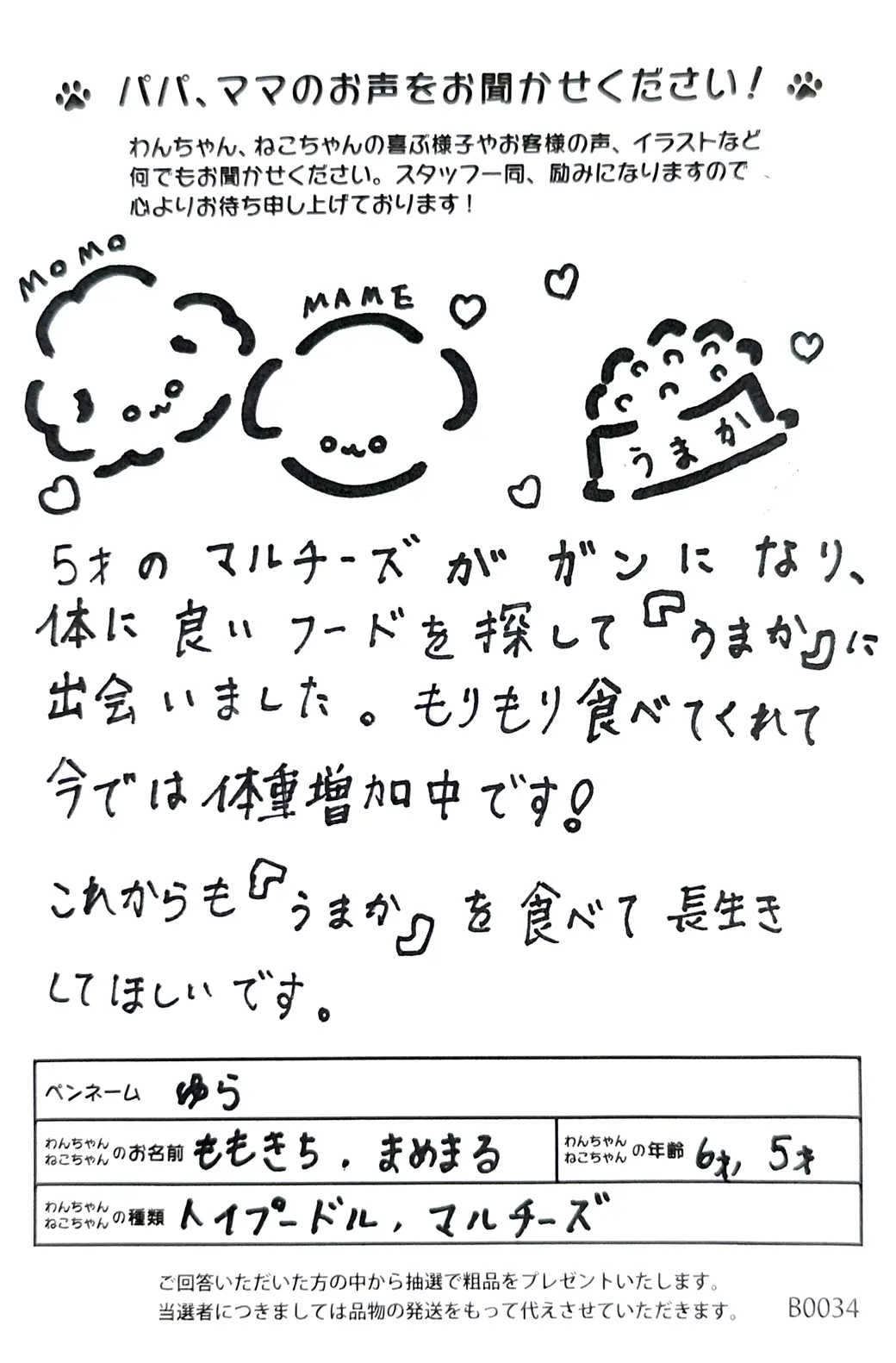 お客様の声22