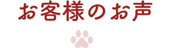 お客さまの声