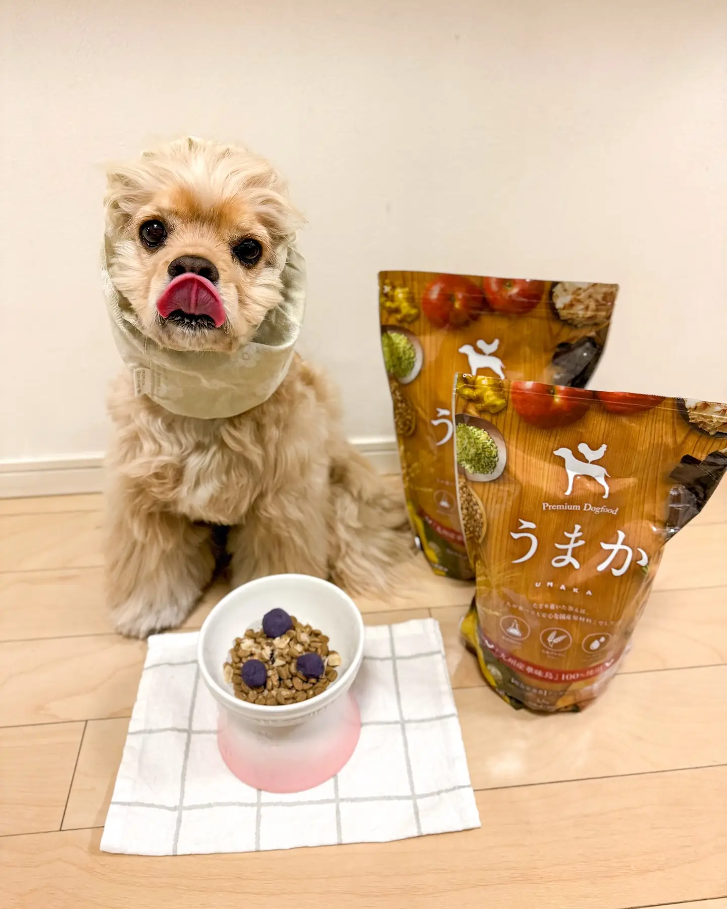 クレアちゃんの写真