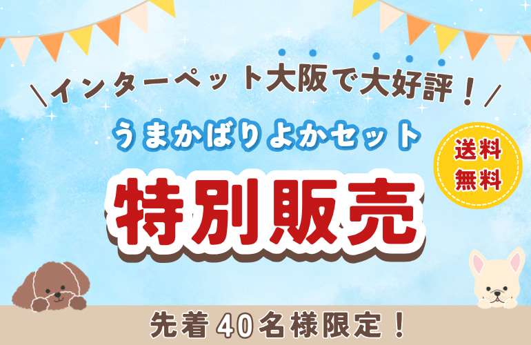 うまかばりよかセット 特別販売