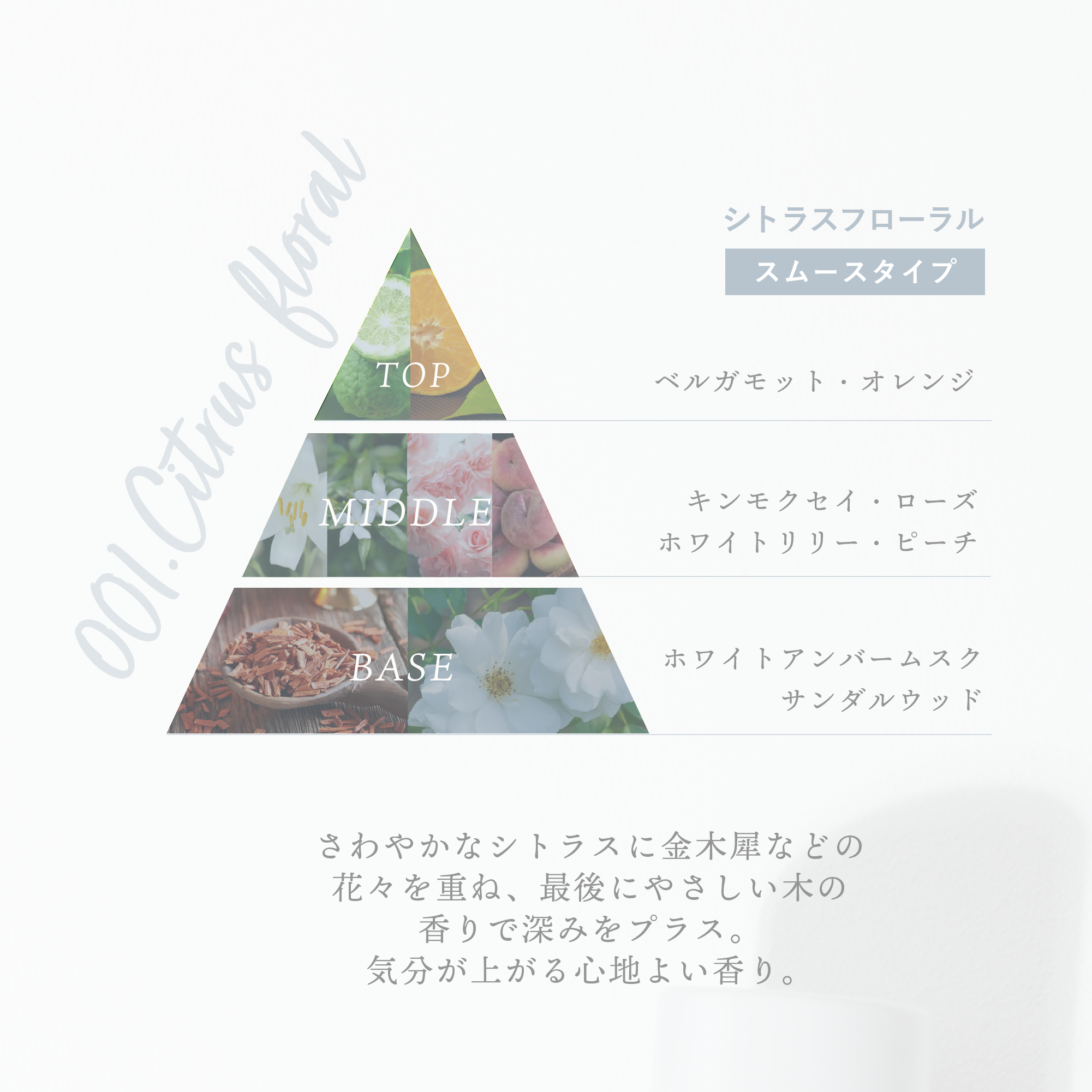  H& 〔アッシュアンド〕オーガニックヘアオイル 80ml タイプ・香りをお選びください: 001.シトラスフローラル【スムース】