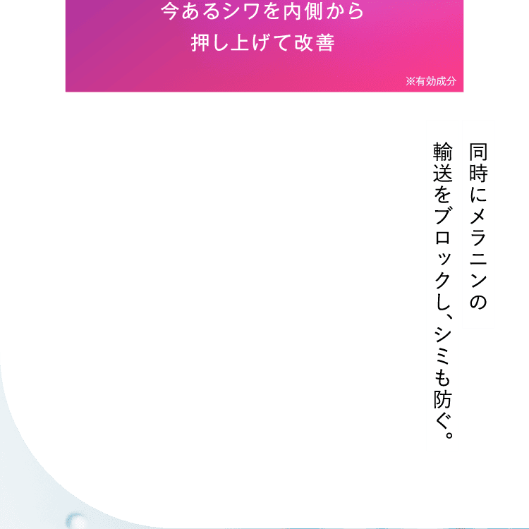 同時にメラニンの輸送をブロックし、シミも防ぐ。