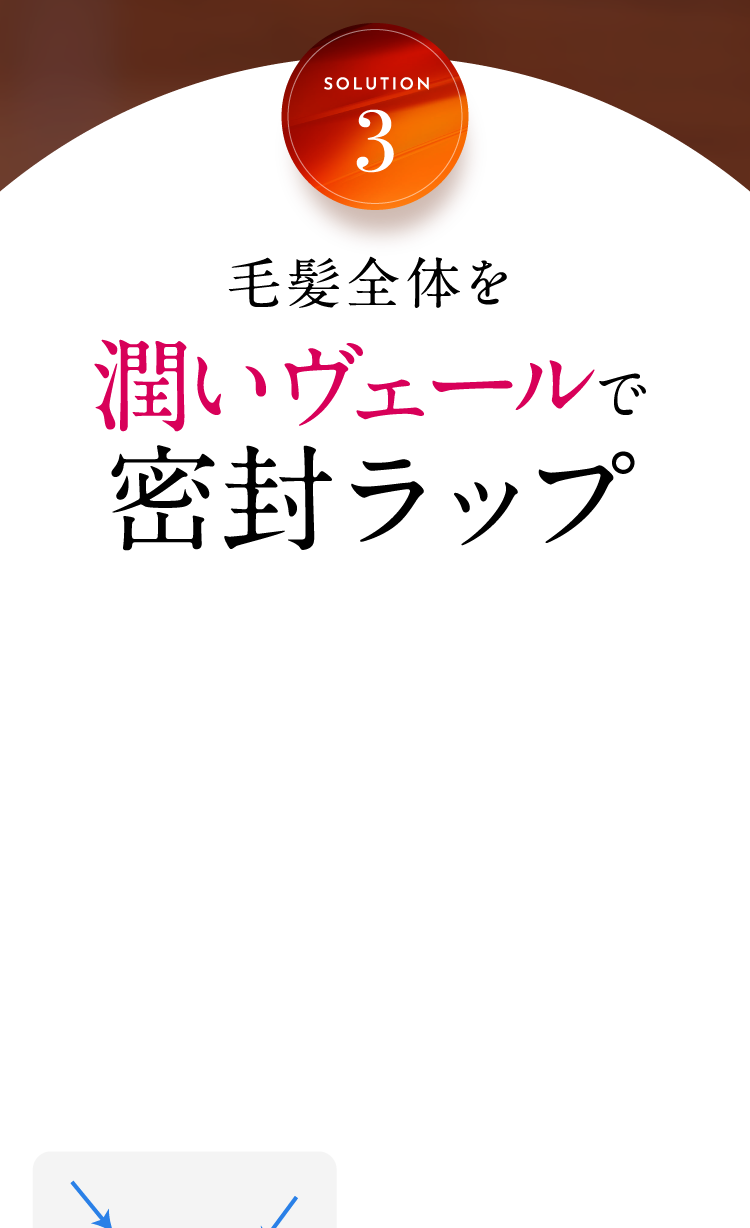 モイストヴェールで密封ラップ