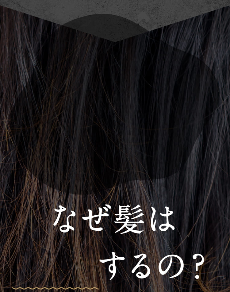 なぜ髪は