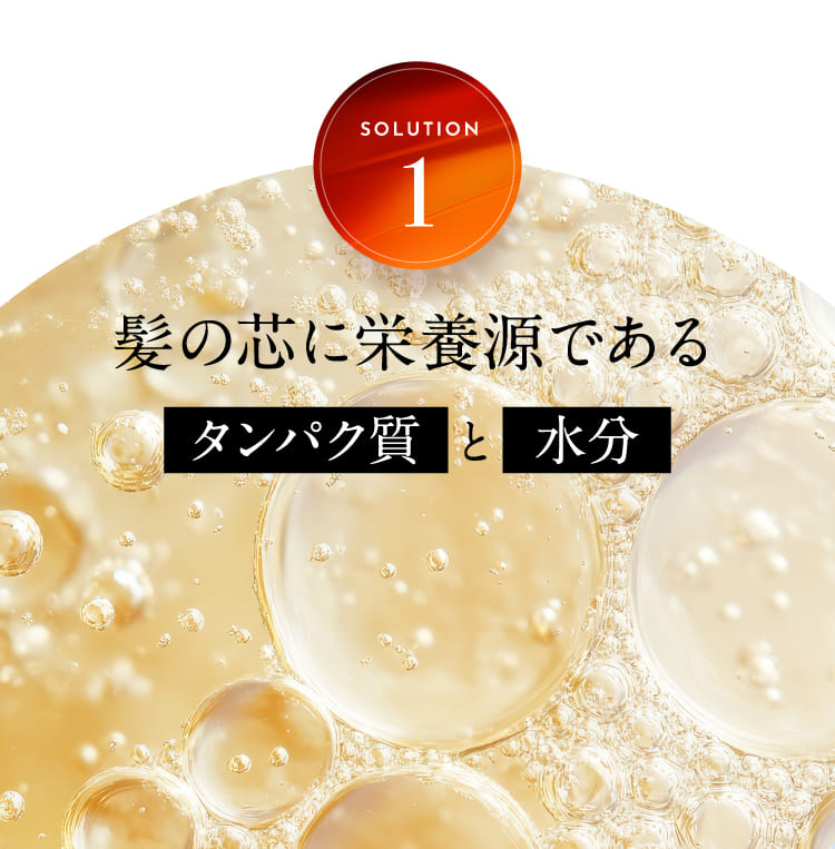 タンパク質と水分