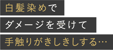 白髪染めでダメージを受けて手触りがきしきしする…