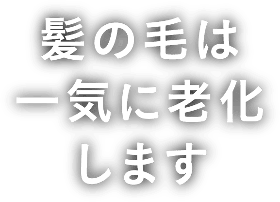 髪の毛は一気に老化します