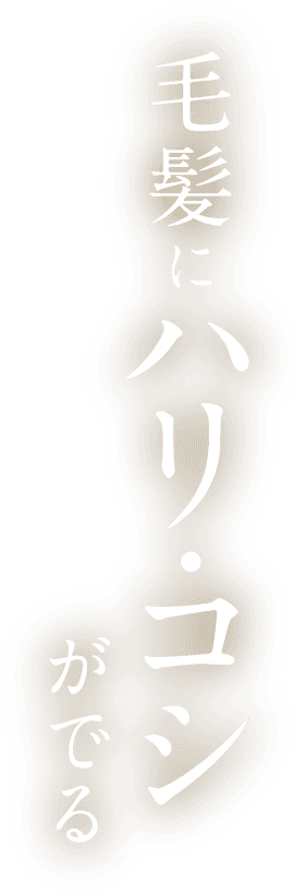 毛髪にハリ・コシがでる