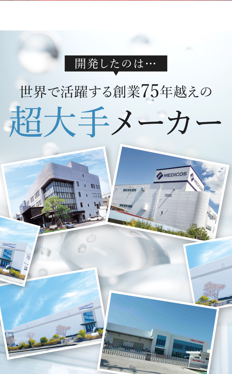 超大手メーカー