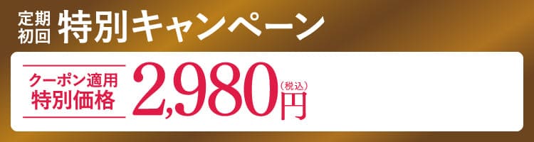 定期初回 特別キャンペーン