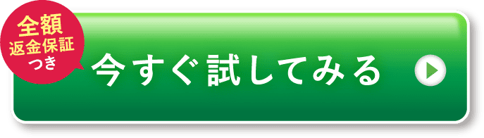 今すぐ試してみる