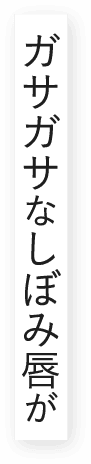 ガサガサなしぼみ唇が